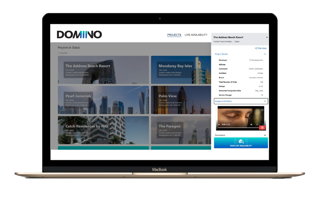 DOMINO WEBSITE.png